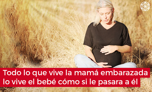 Proyecto Sentido: lo que siente la mamá embarazada también lo vive el bebé como si le pasar a él
